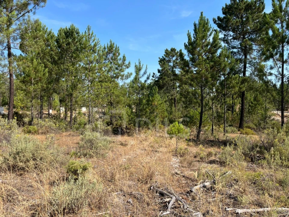 Terreno para Venda em Grândola e Santa Margarida da Serra Foto 9