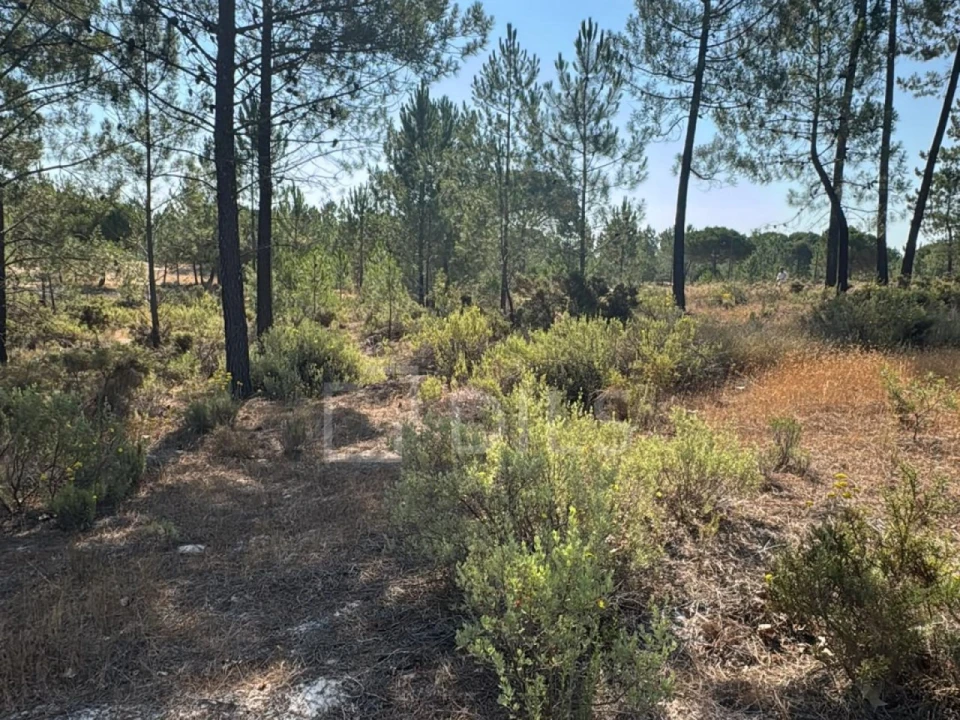 Terreno para Venda em Grândola e Santa Margarida da Serra Foto 7