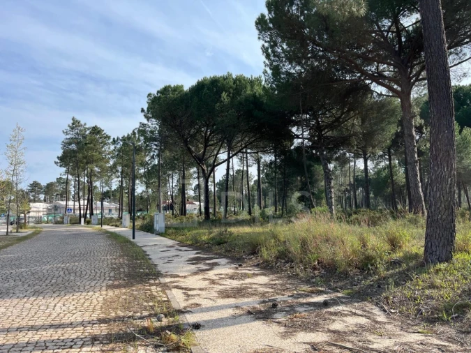 Terreno para Venda em Grândola e Santa Margarida da Serra Foto 6