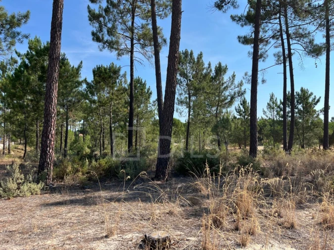 Terreno para Venda em Grândola e Santa Margarida da Serra Foto 13