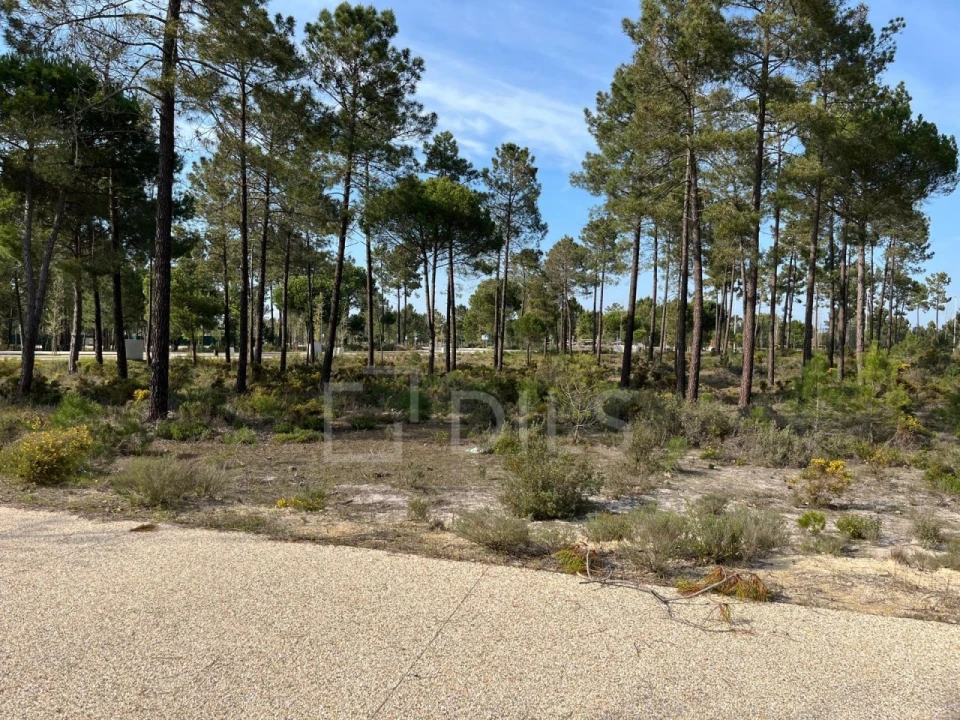 Terreno para Venda em Grândola e Santa Margarida da Serra Foto 1