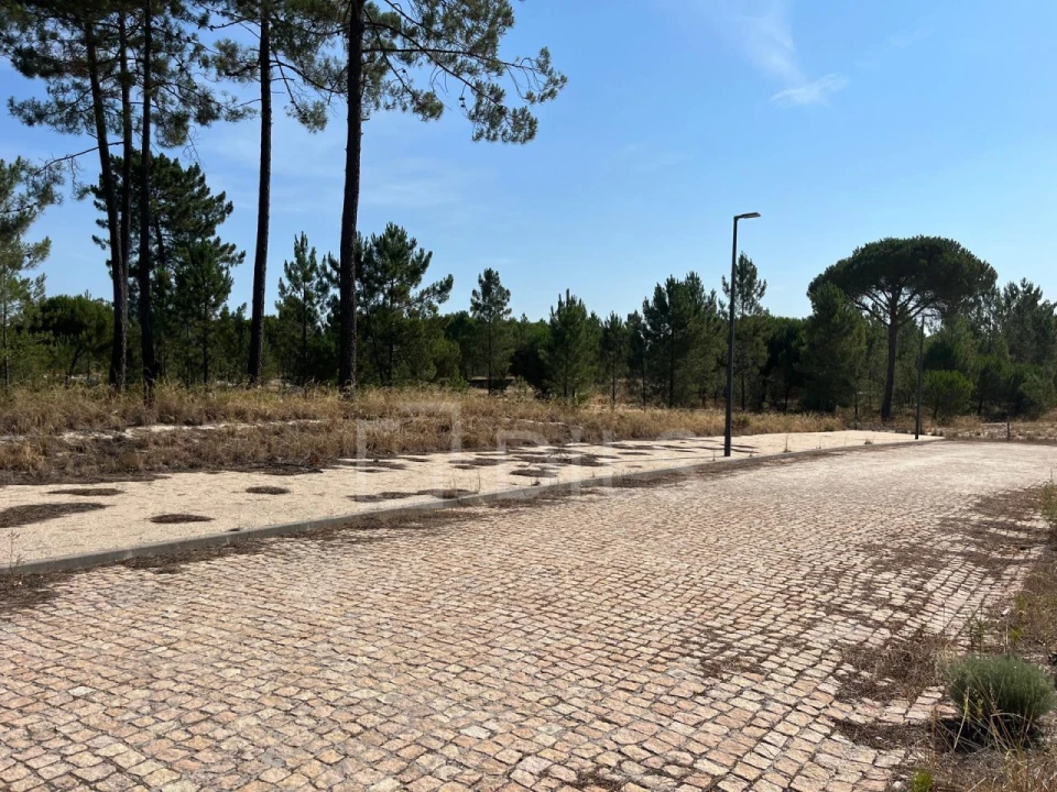 Terreno para Venda em Grândola e Santa Margarida da Serra Foto 11