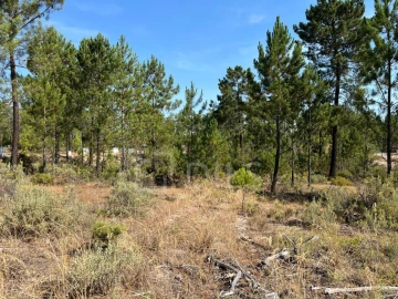 Terreno para Venda em Grândola e Santa Margarida da Serra