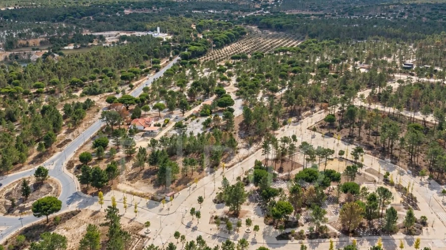 Terreno para Venda em Grândola e Santa Margarida da Serra
