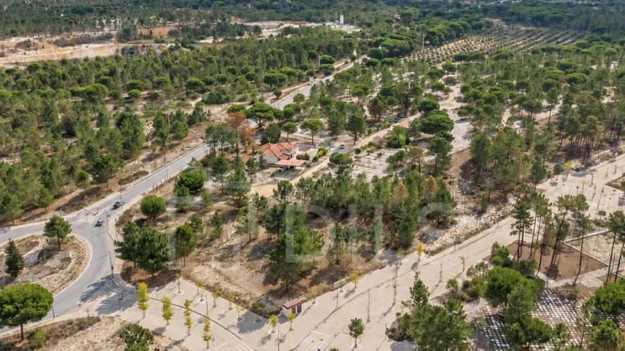 Terreno para Venda em Grândola e Santa Margarida da Serra