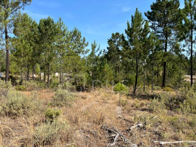 Terreno para Venda em Grândola e Santa Margarida da Serra Foto 9