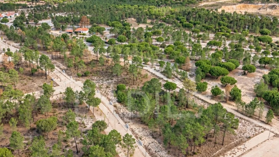 Terreno para Venda em Grândola e Santa Margarida da Serra