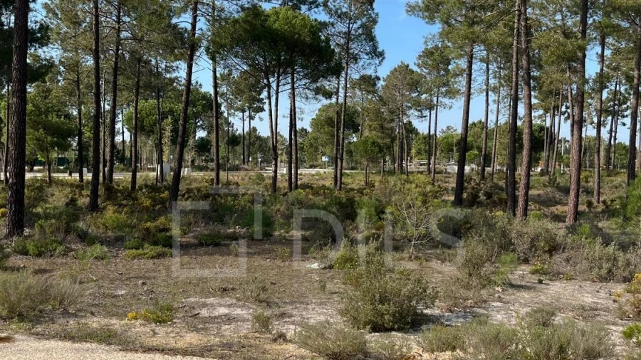 Terreno para Venda em Grândola e Santa Margarida da Serra