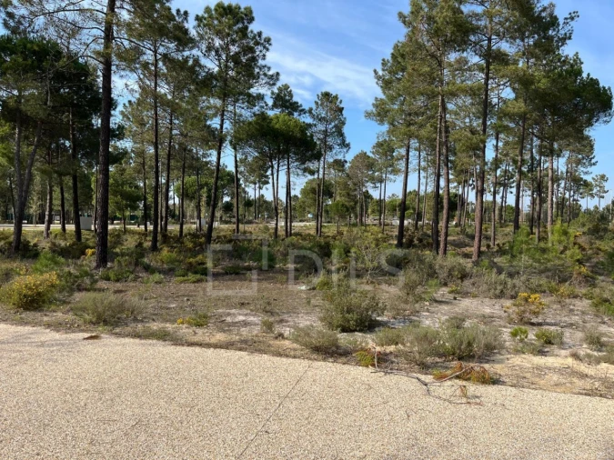 Terreno para Venda em Grândola e Santa Margarida da Serra Foto 4