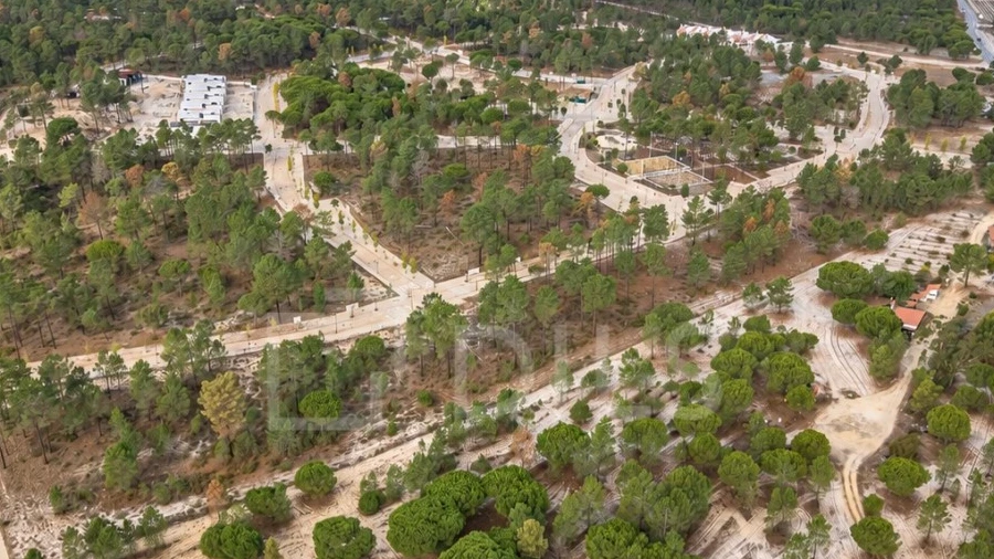 Terreno para Venda em Grândola e Santa Margarida da Serra