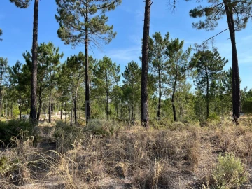 Terreno para Venda em Grândola e Santa Margarida da Serra