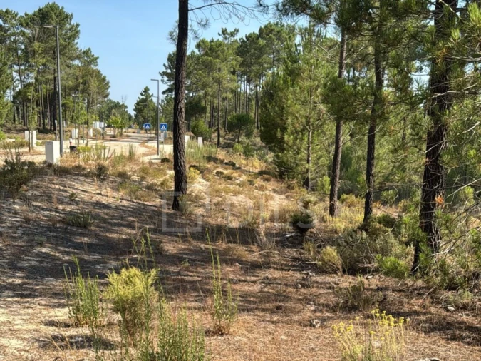 Terreno para Venda em Grândola e Santa Margarida da Serra Foto 9