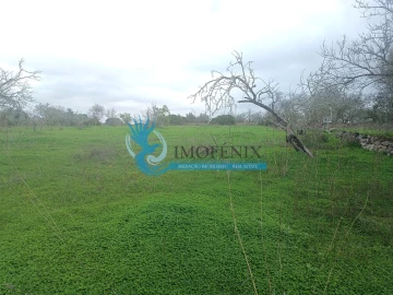 Terreno para Venda em Albufeira e Olhos de Água