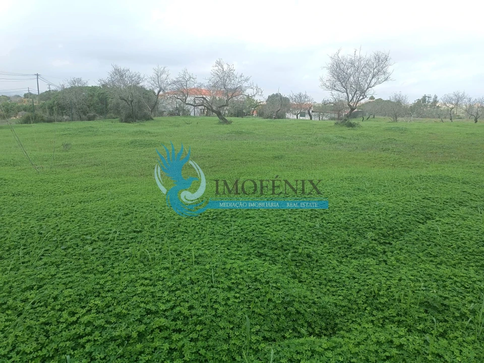 Terreno para Venda em Albufeira e Olhos de Água Foto 1