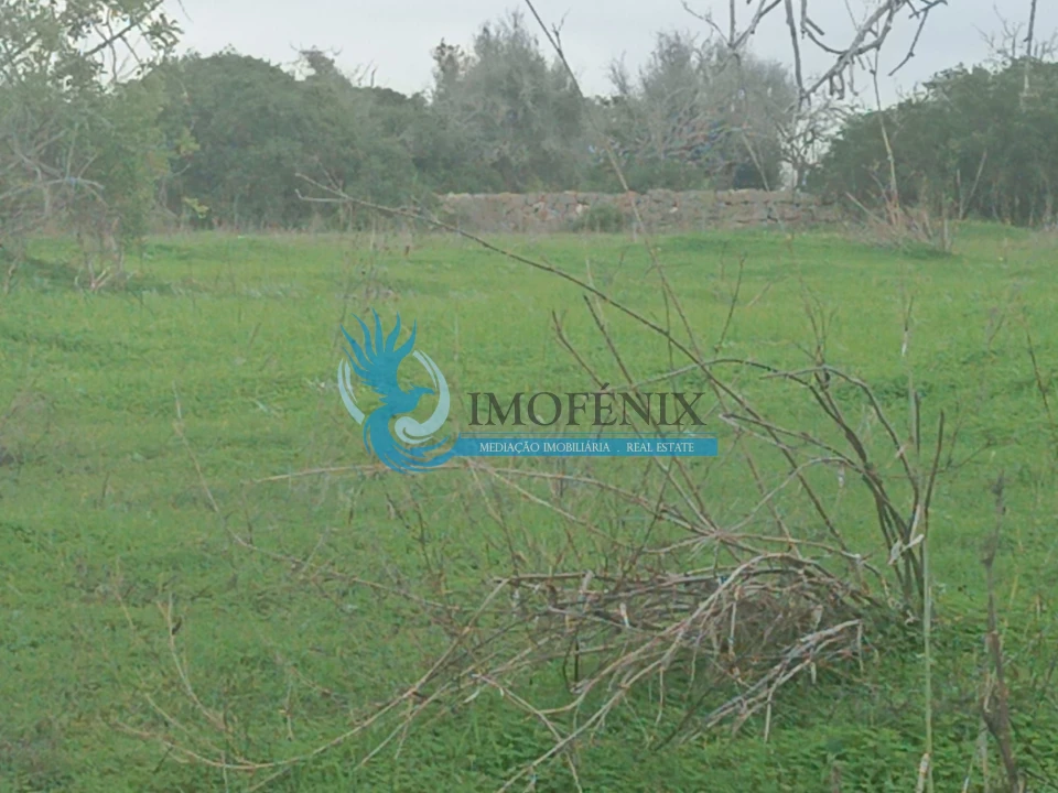 Terreno para Venda em Albufeira e Olhos de Água Foto 3