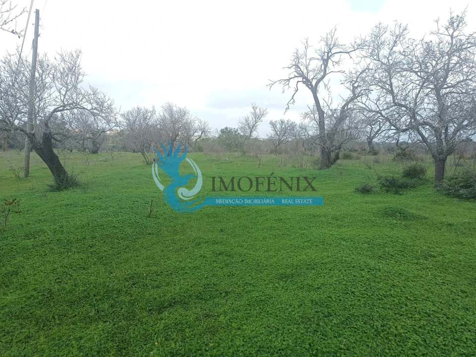Terreno para Venda em Albufeira e Olhos de Água Foto 5