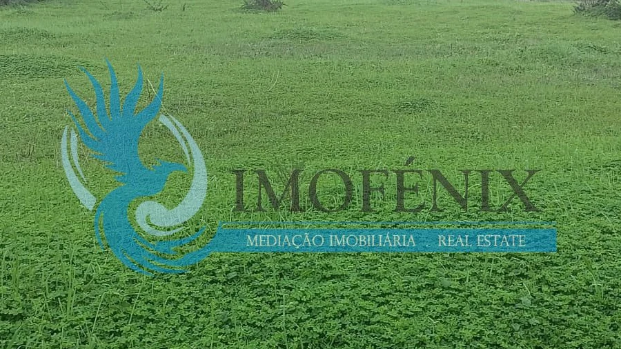 Terreno para Venda em Albufeira e Olhos de Água