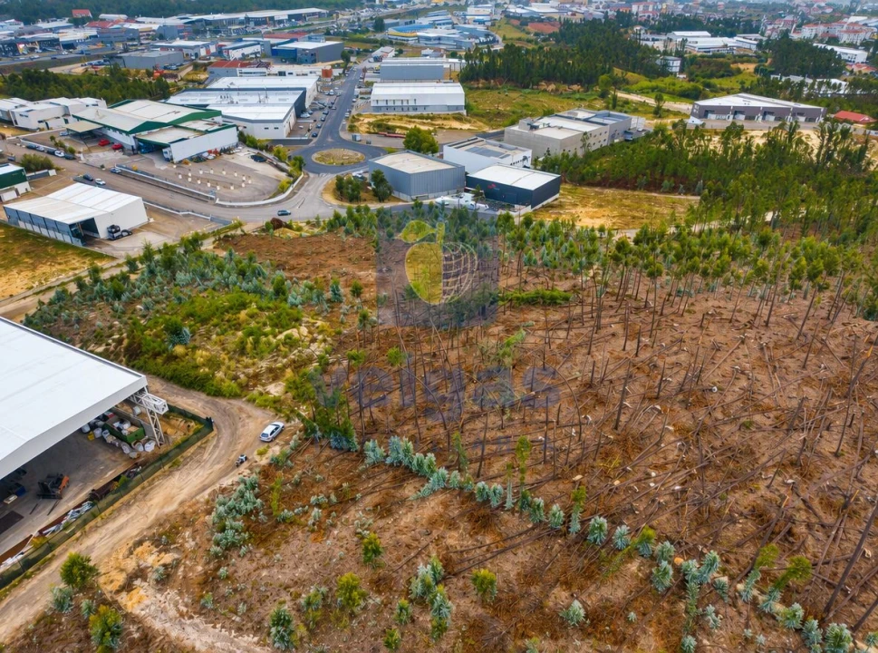 Terreno para Venda em Marrazes e Barosa Foto 1