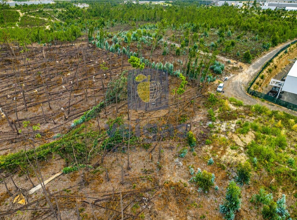 Terreno para Venda em Marrazes e Barosa Foto 3