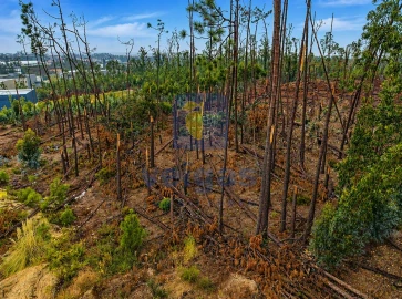 Terreno para Venda em Marrazes e Barosa