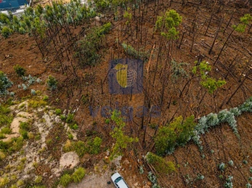 Terreno para Venda em Marrazes e Barosa