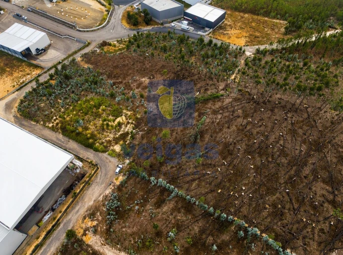 Terreno para Venda em Marrazes e Barosa Foto 4