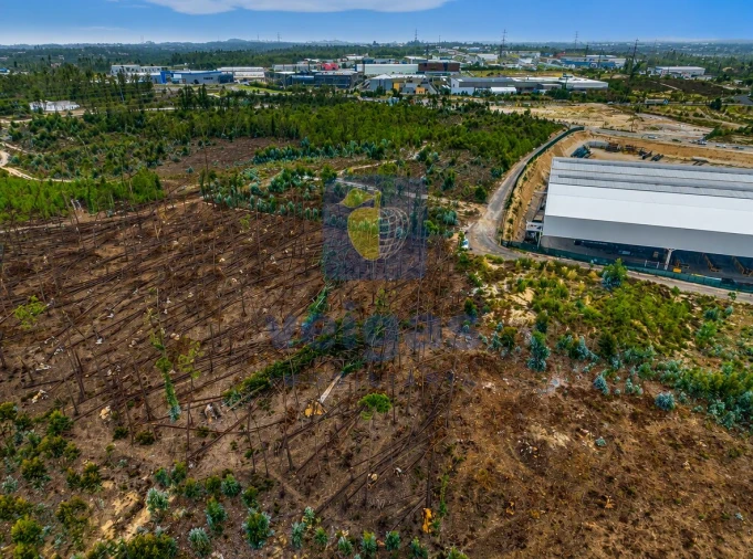 Terreno para Venda em Marrazes e Barosa Foto 2