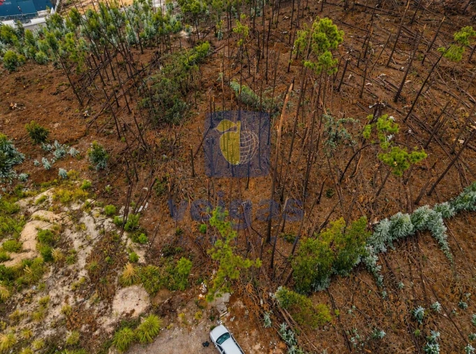 Terreno para Venda em Marrazes e Barosa Foto 6