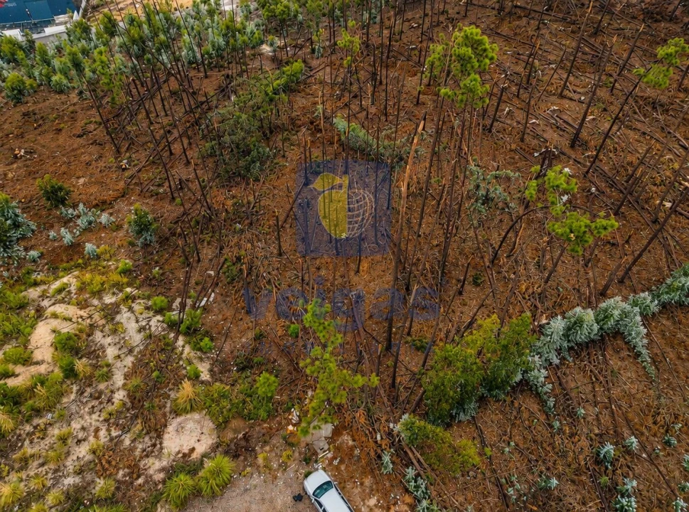 Terreno para Venda em Marrazes e Barosa Foto 6