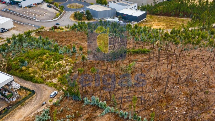 Terreno para Venda em Marrazes e Barosa