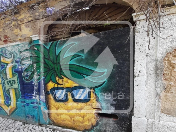 Prédio para Venda em Montijo e Afonsoeiro Foto 18