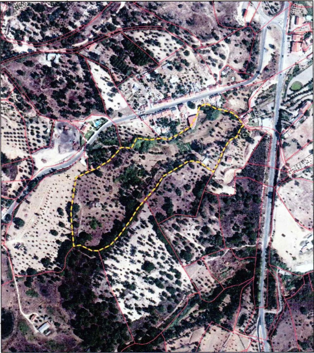 Terreno Misto para Venda em Montargil Foto 22