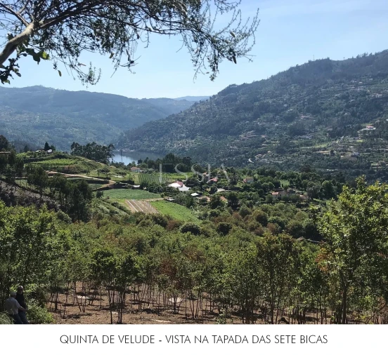 Quinta T4 para Venda em São Cristovão de Nogueira Foto 80