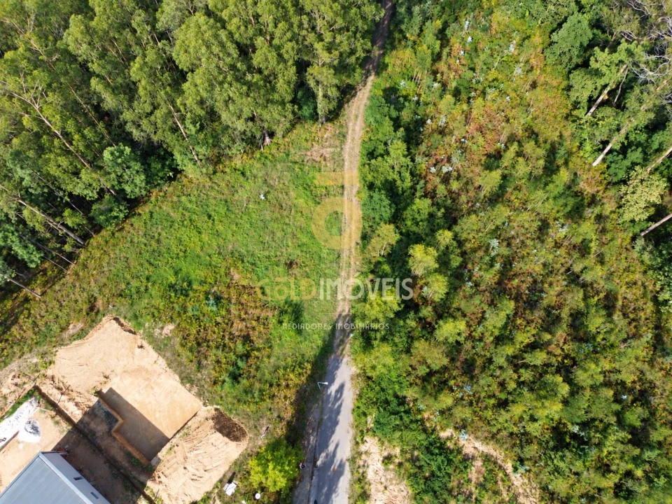 Terreno para Venda em São Miguel do Souto e Mosteirô Foto 3