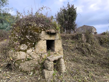 Quinta T0 para Venda em Orjais