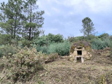 Quinta T0 para Venda em Orjais
