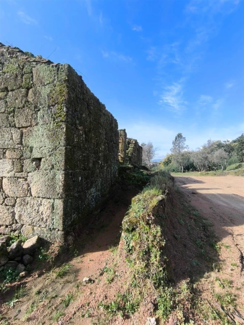 Quinta T0 para Venda em Orjais