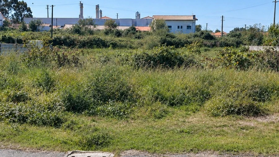 Terreno para Venda em Ferreira