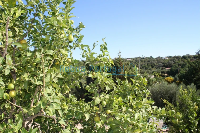 Moradia T4 para Venda em Santa Barbara de Nexe Foto 27