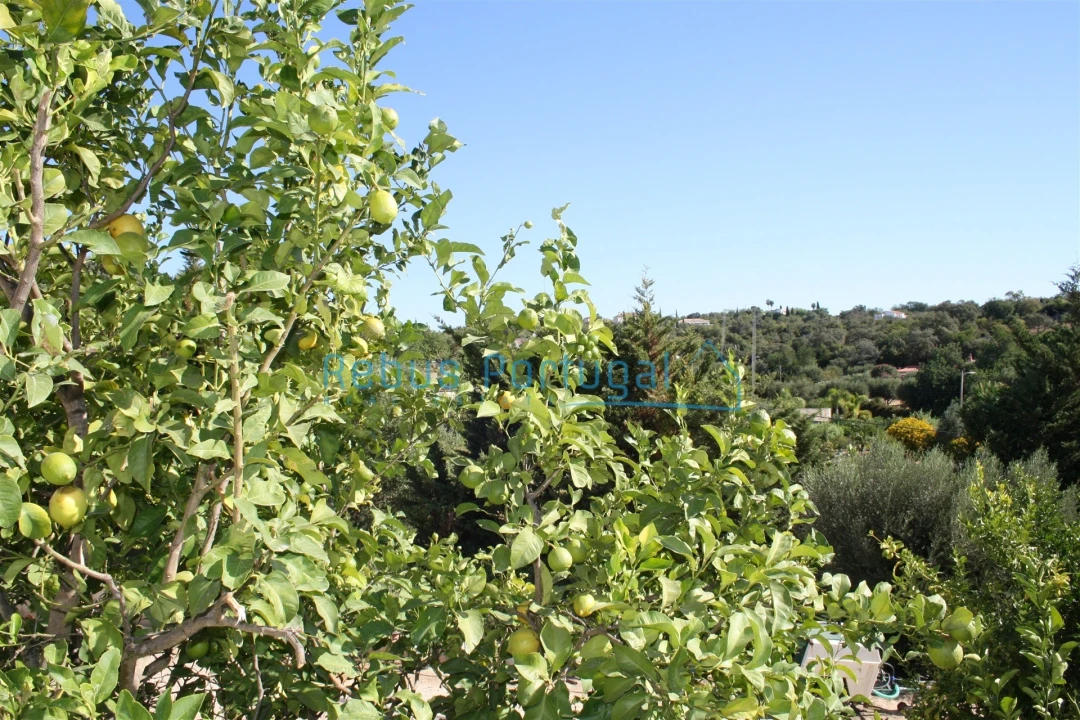 Moradia T4 para Venda em Santa Barbara de Nexe Foto 27