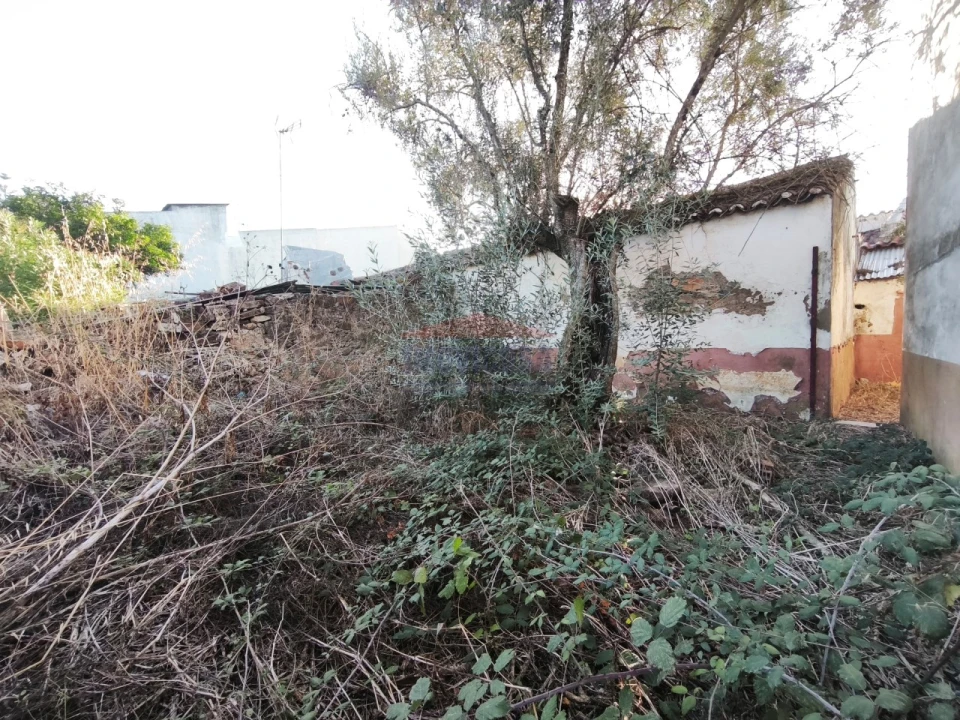 Moradia T1 para Venda em Bencatel Foto 18