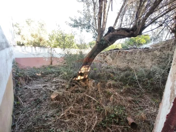 Moradia T1 para Venda em Bencatel