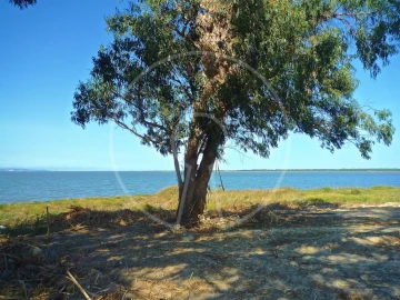 Terreno para Venda em Alcochete