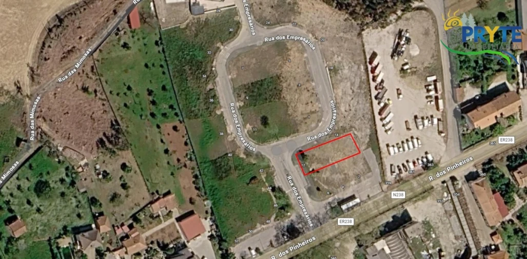 Terreno para Venda em Cernache do Bonjardim, Nesperal e Palhais Foto 6