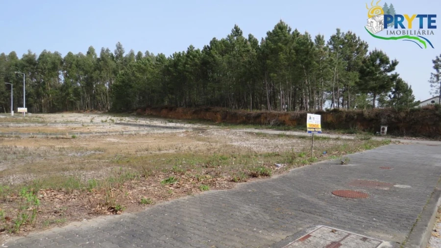 Terreno para Venda em Cernache do Bonjardim, Nesperal e Palhais