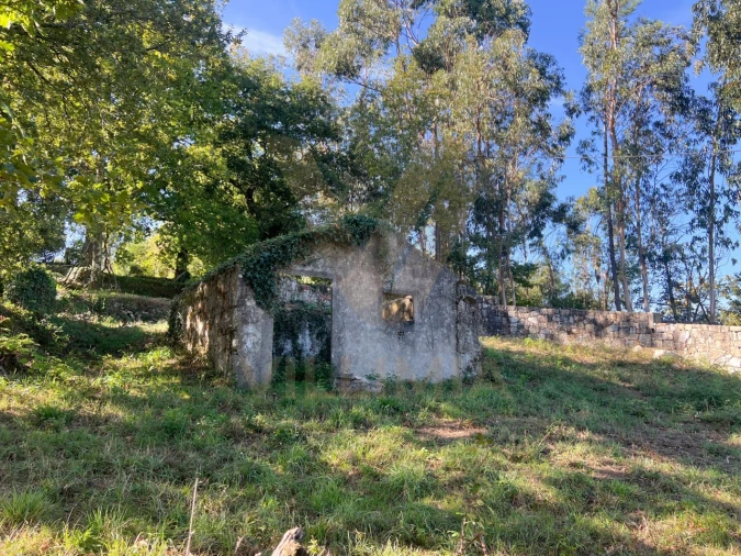 Moradia T2 para Venda em Formariz e Ferreira Foto 77