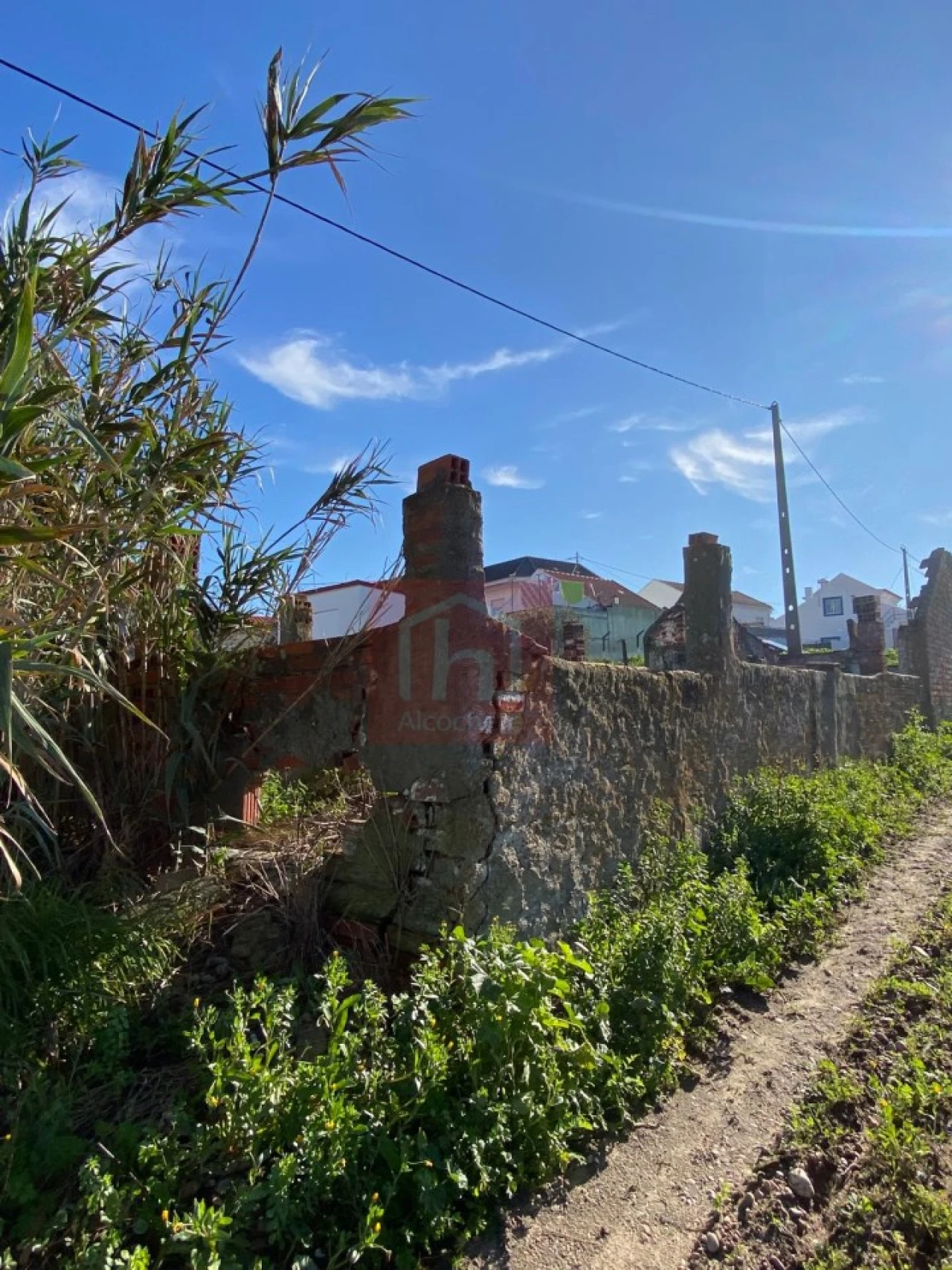 Terreno Agricola ou Rústico para Venda em São Francisco Foto 5