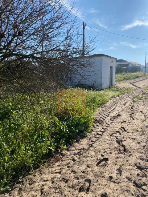 Terreno Agricola ou Rústico para Venda em São Francisco