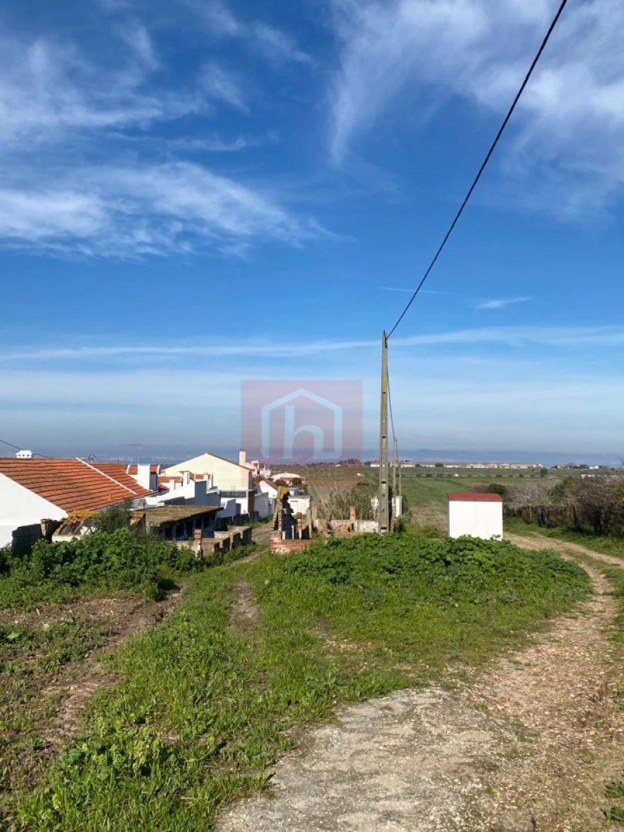 Terreno Agricola ou Rústico para Venda em São Francisco Foto 6