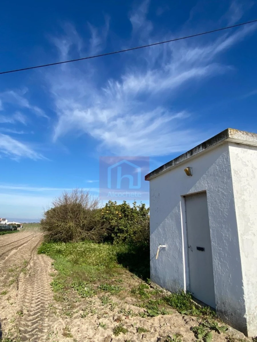 Terreno Agricola ou Rústico para Venda em São Francisco Foto 13